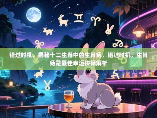错过时机，揭秘十二生肖中的生肖兔，错过时机，生肖兔是最佳幸运抉择解析