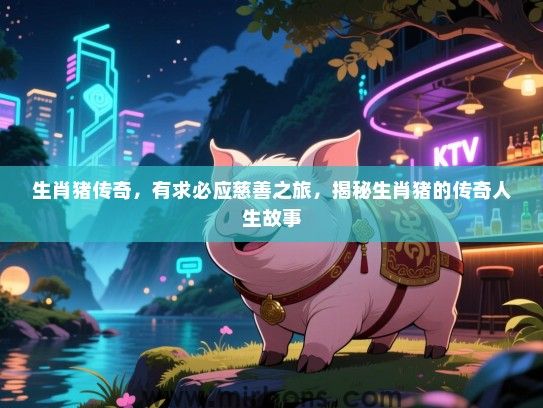 生肖猪传奇，有求必应慈善之旅，揭秘生肖猪的传奇人生故事