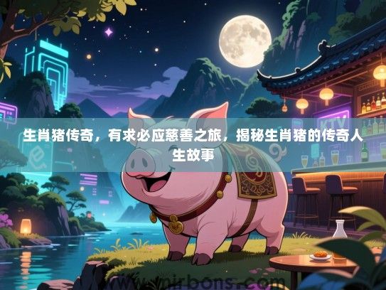 生肖猪传奇，有求必应慈善之旅，揭秘生肖猪的传奇人生故事
