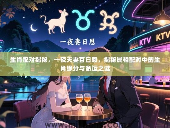 生肖配对揭秘，一夜夫妻百日恩，揭秘属相配对中的生肖缘分与命运之谜