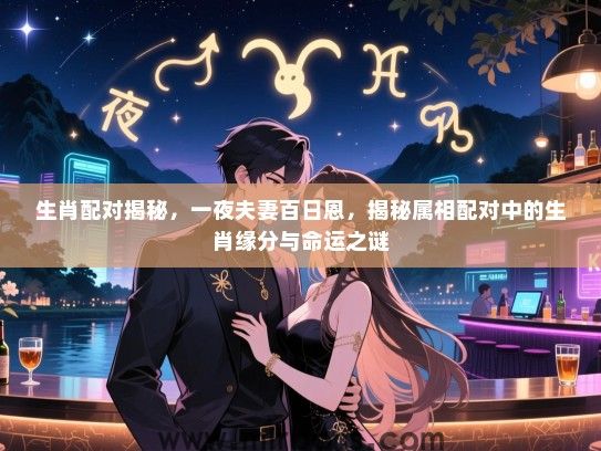 生肖配对揭秘，一夜夫妻百日恩，揭秘属相配对中的生肖缘分与命运之谜