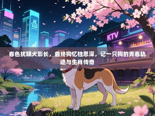春色扰眼犬影长，曲终狗忆独思深，记一只狗的青春轨迹与生肖传奇
