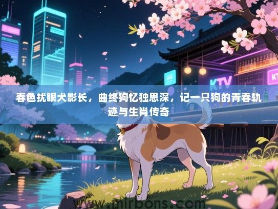 春色扰眼犬影长，曲终狗忆独思深，记一只狗的青春轨迹与生肖传奇