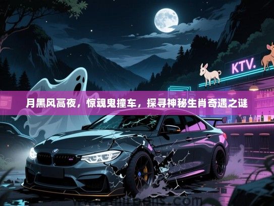 月黑风高夜，惊魂鬼撞车，探寻神秘生肖奇遇之谜