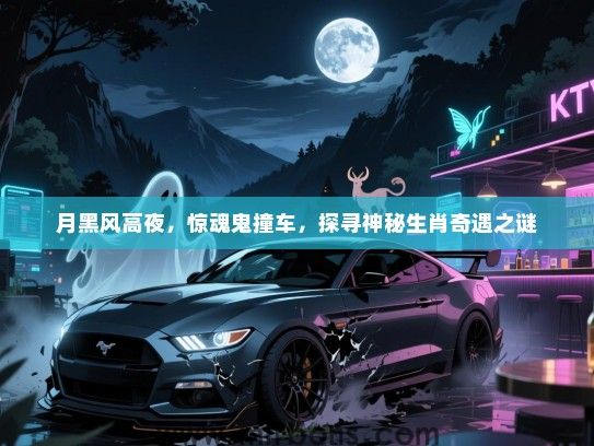 月黑风高夜，惊魂鬼撞车，探寻神秘生肖奇遇之谜