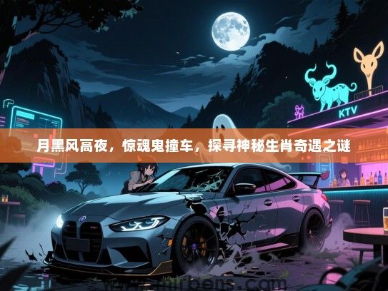 月黑风高夜，惊魂鬼撞车，探寻神秘生肖奇遇之谜