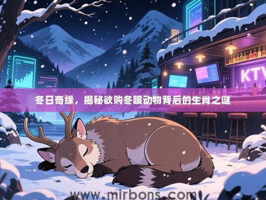 冬日奇缘,揭秘欲购冬眠动物背后的生肖之谜 冬日奇缘,揭秘欲购冬眠动物背后的生肖之谜