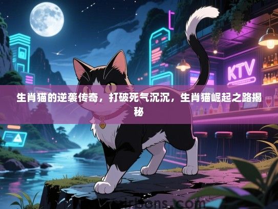 生肖猫的逆袭传奇，打破死气沉沉，生肖猫崛起之路揭秘