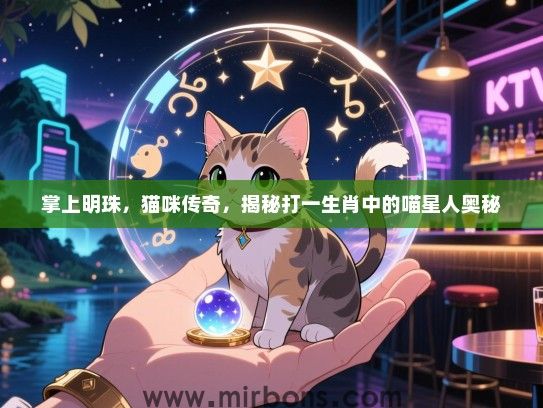 掌上明珠，猫咪传奇，揭秘打一生肖中的喵星人奥秘