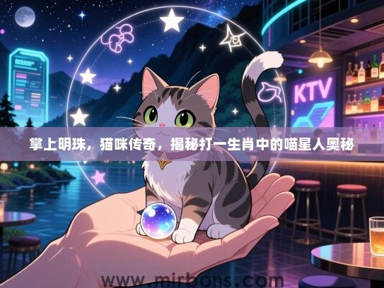 掌上明珠，猫咪传奇，揭秘打一生肖中的喵星人奥秘