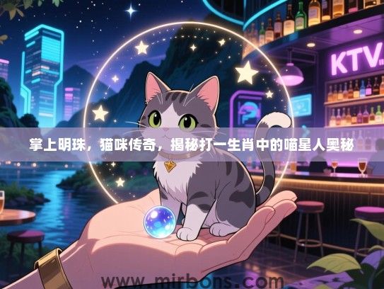 掌上明珠，猫咪传奇，揭秘打一生肖中的喵星人奥秘