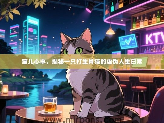 猫儿心事,揭秘一只打生肖猫的虚伪人生日常 猫儿心事,揭秘一只打生肖猫的虚伪人生日常